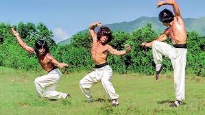 Image result for DRUNKEN MASTER
