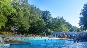 Image result for Biggleswade Swimming Club