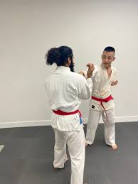 Image result for Chikara Dojo Of Kyokushin Karate