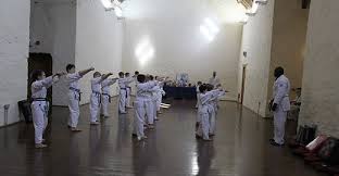 Image result for Aylesbury Vale Seido Karate