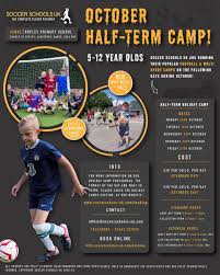 Image result for Manor Colts Youth Football Club