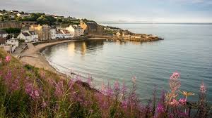 Image result for Dunfermline and West Fife Ac