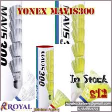 Image result for Langley Rockets Badminton Club