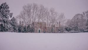 Image result for Gosfield CC