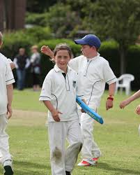 Image result for Capel Cricket Club