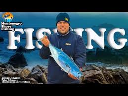 Image result for Euthynnus alletteratus