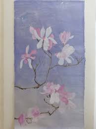 Attēlu rezultāti vaicājumam “Magnolia cylindrica flower”