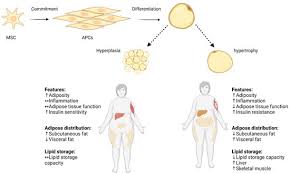 Image result for University of Sheffield Ultimate- Phat 'eds