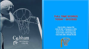 Image result for Elmbridge Netball Club