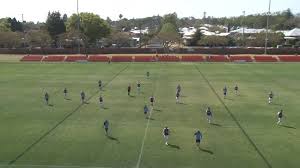 Image result for Warwick Wolves