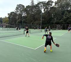 Image result for Dorset Pickleball Club