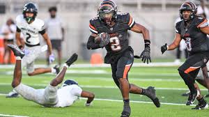 Image result for Brendon Bees Junior Football Club