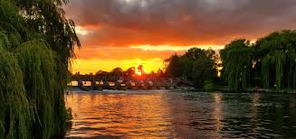 Image result for Thames Valley Angling