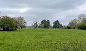 Image result for Merrow Cricket Club
