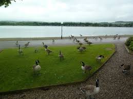 Image result for Pine Lake Watersports - Lancashire