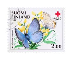 Attēlu rezultāti vaicājumam “Agrodiaetus amandus female”