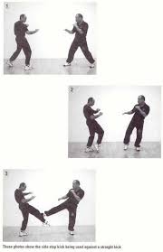 Image result for Somerset Jeet Kune Do