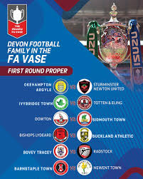 Image result for Sidmouth Town Association Football Club