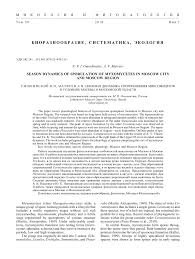 Attēlu rezultāti vaicājumam “Symphytocarpus trechisporus young”