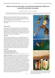 Attēlu rezultāti vaicājumam “Aranei exuvia”