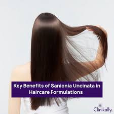 Attēlu rezultāti vaicājumam “Sanionia uncinata”