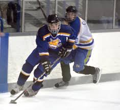 Image result for Pontypool Skater Hockey Club