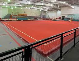 Image result for Mansfield Olympic Gymnastics Club
