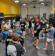 Image result for Precision MMA Mixed Martial Arts Training