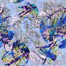 Attēlu rezultāti vaicājumam “Helichrysum arenarium leaf”