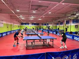 Image result for Rowhedge Table Tennis Club