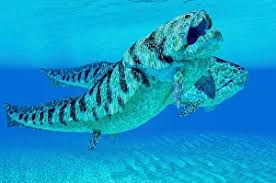 Attēlu rezultāti vaicājumam “Placodermi”