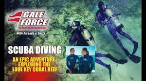 Image result for Looe Diving Club
