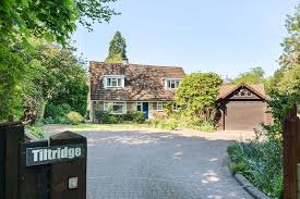 Image result for Pulborough Cricket Club