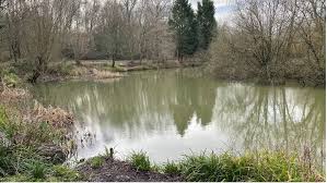 Image result for Guildford Angling Society