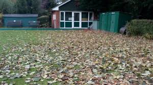 Image result for Twyford Bowls & Lawn Tennis Club