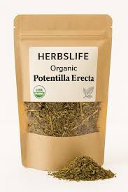 Attēlu rezultāti vaicājumam “Potentilla erecta fruit”