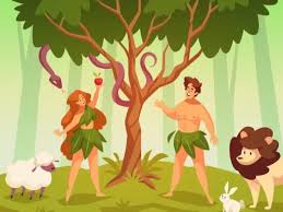 Image result for foto criação de deus