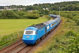 Image result for Newton Abbott Knights