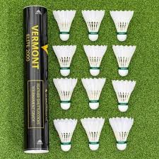 Image result for Clevedon Feathers Badminton Club