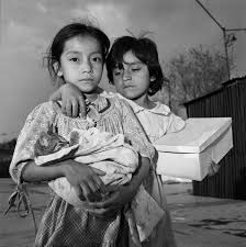 Attēlu rezultāti vaicājumam “Lycogala confusum young”