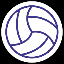 Image result for Chelmsford Netball Club