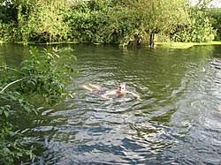 Image result for Cambridge Granta Cc