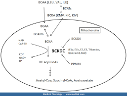 Image result for BCKA