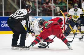 Image result for Romford Junior Ice Hockey Club
