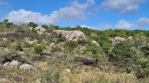 Image result for mahoma