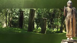 Image result for Buddha Maligavilla Srilanka