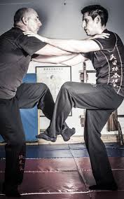 Image result for Midlands Wing Chun