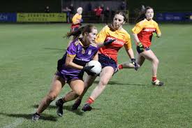 Image result for Patrick Sarsfield Gaelic Athletic Club