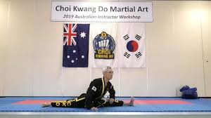 Image result for Cardiff Choi Kwang-Do