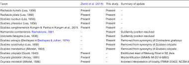 Attēlu rezultāti vaicājumam “Harmandia”